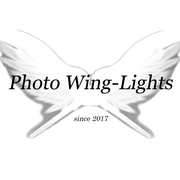 Photo Wing-Lights